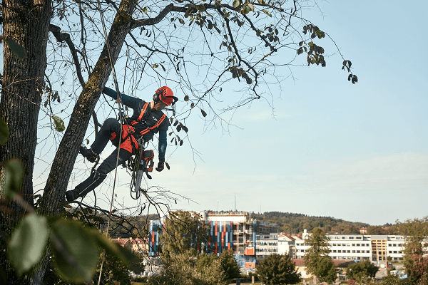 Husqvarna 535i XP® (Akku-Kettensäge)