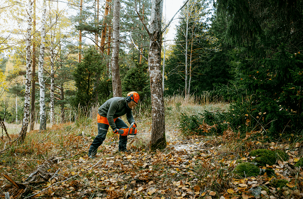 Husqvarna 340i (Akku-Kettensäge)