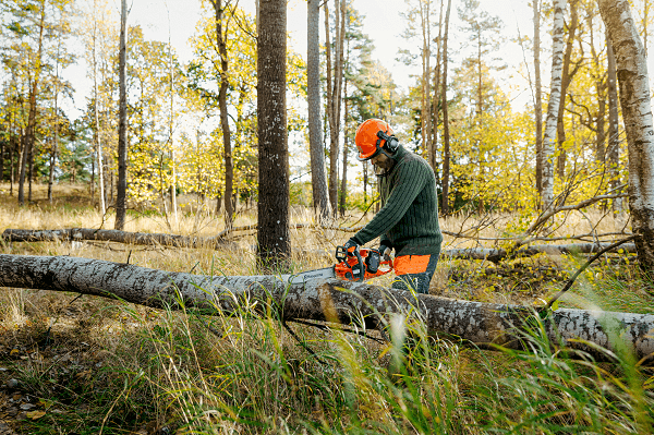 Husqvarna 340i (Akku-Kettensäge)